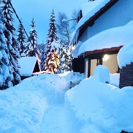 Hotel Uki & Sofi Mountain House Kopaonik Exteriér fotografie