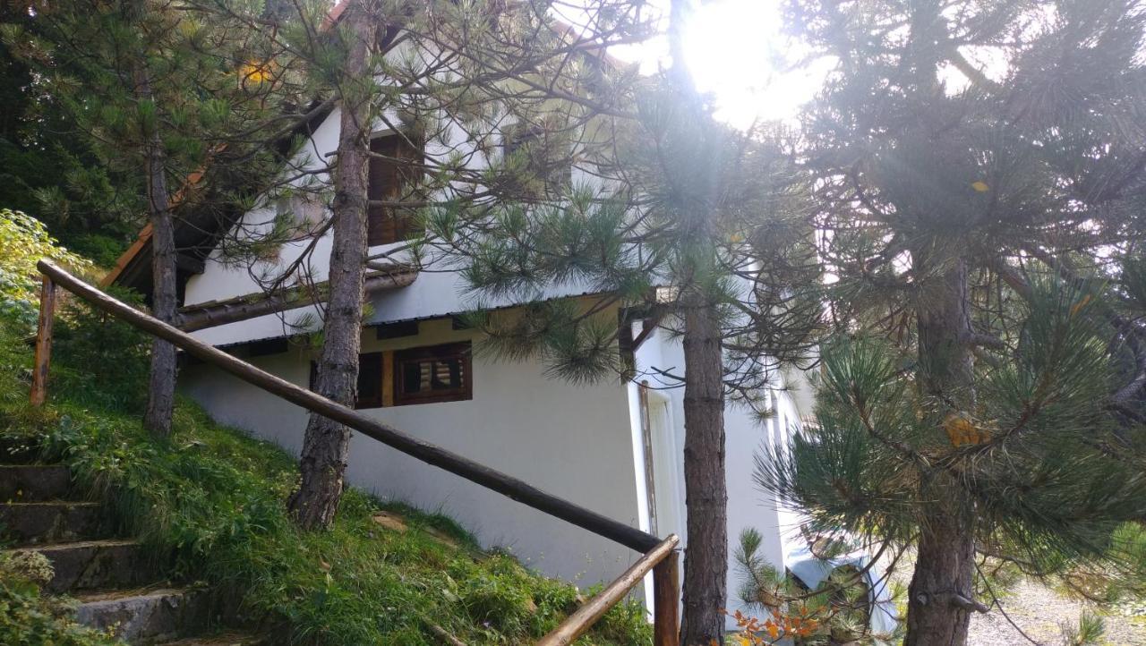 Hotel Uki & Sofi Mountain House Kopaonik Exteriér fotografie