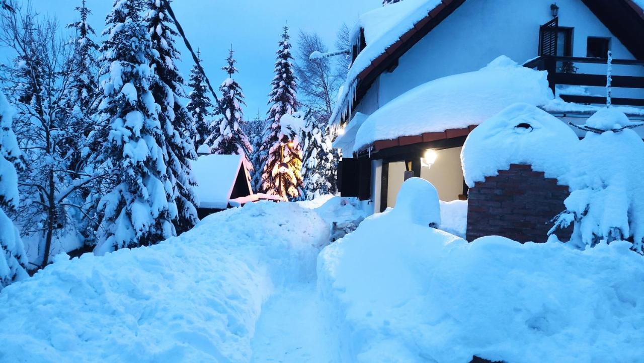 Hotel Uki & Sofi Mountain House Kopaonik Exteriér fotografie