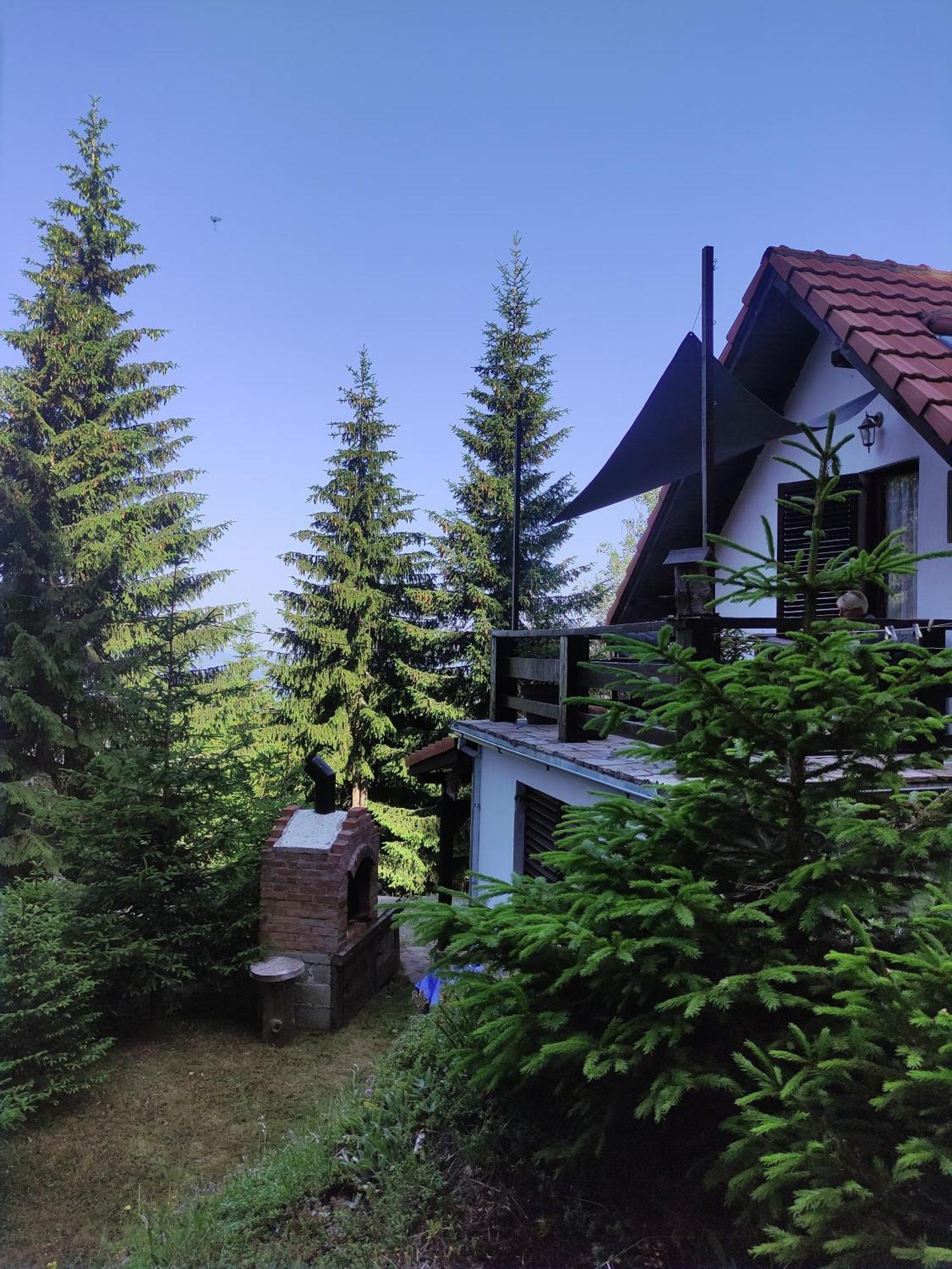 Hotel Uki & Sofi Mountain House Kopaonik Pokoj fotografie