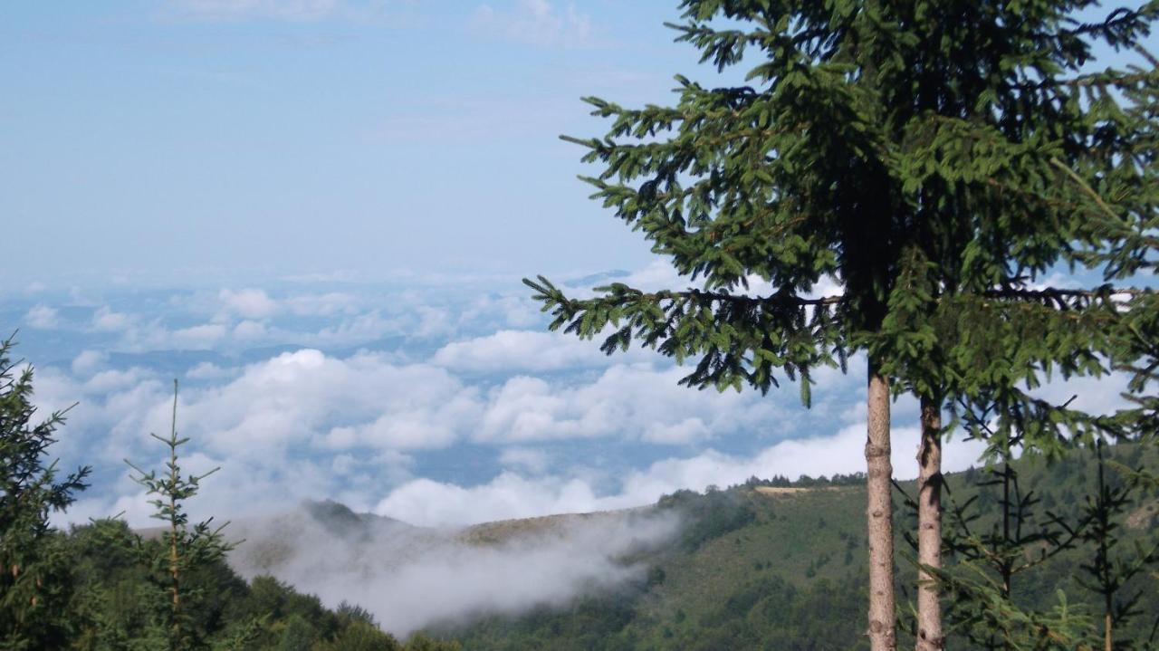Hotel Uki & Sofi Mountain House Kopaonik Exteriér fotografie