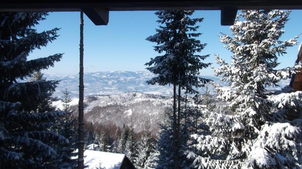 Hotel Uki & Sofi Mountain House Kopaonik Exteriér fotografie